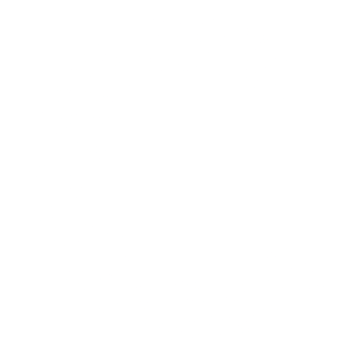 Experience icon