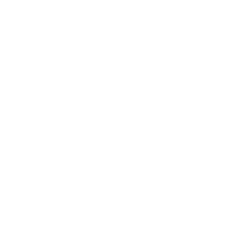 Experience icon