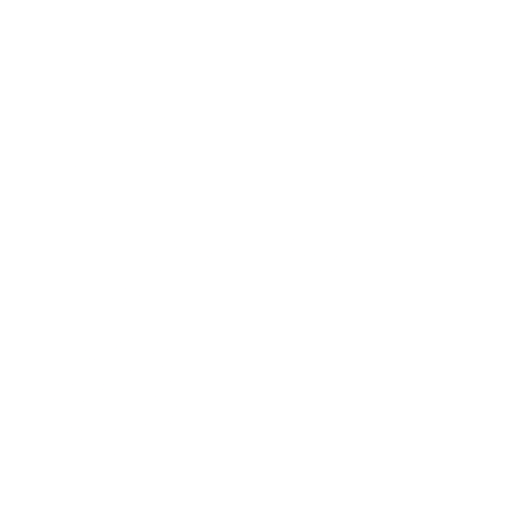 Experience icon