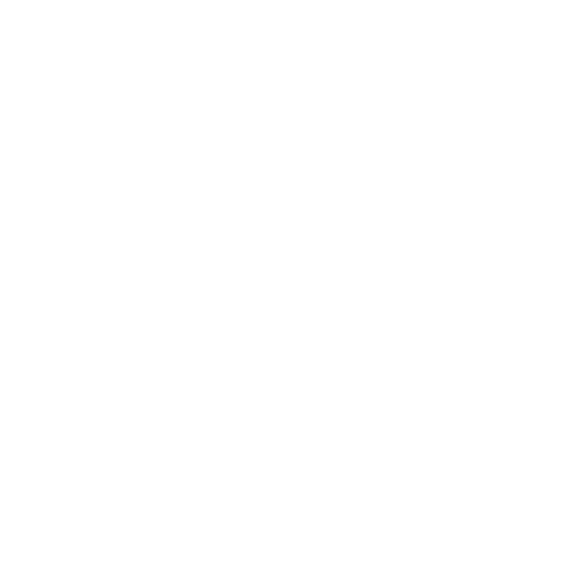 Experience icon